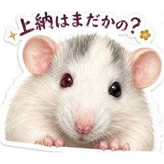 kinhamu_20260617214335