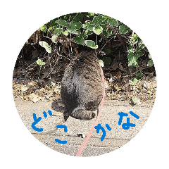 nekokawaii_20260617214141