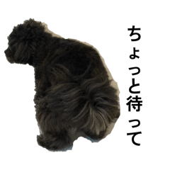 YYM_20260617215055