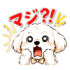 rieko_20260617214603