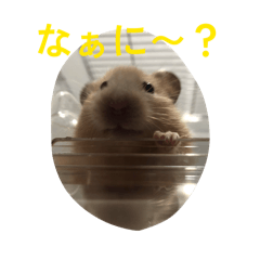 a_20260617214748