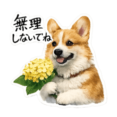 yururin_20260617220221
