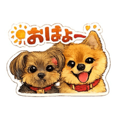 nimo_20260617223053