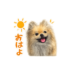nori_20260617215702