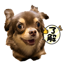 cocorokuhana