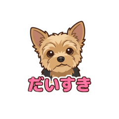 nyontakaramono