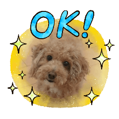funnysunny_20260617225337