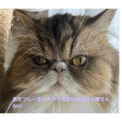 Si-chan_20260617223908