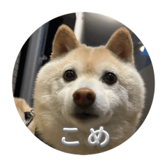 Takamoto_20260617225148