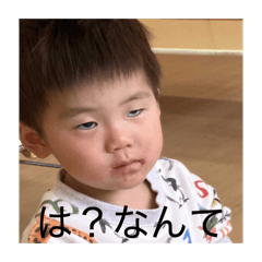 shiki_20260617225655