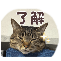 Mayu_20260617225829