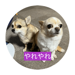 GON_20260617230350