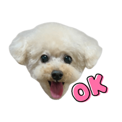 puchiiiz_20260617225302