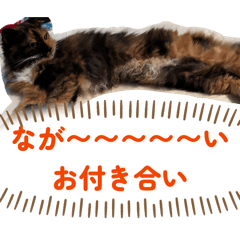 NikeMaru_20260617230816