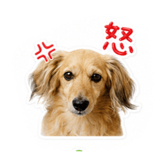ikko_20260617230722