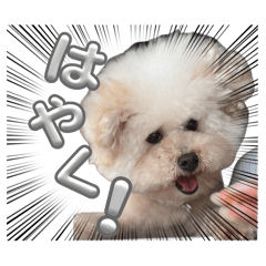 lino_20260617230002