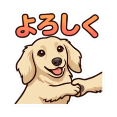 cocochi_20260617231046