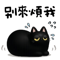 <嚕嚕貓日常>別來煩我♡♡♡～