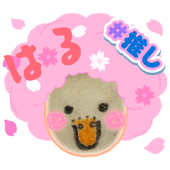 ahikamo