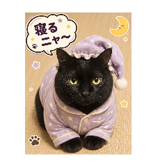 KAZUHIKO_20260617034716