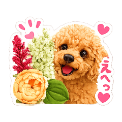 jacklin_20260617074322