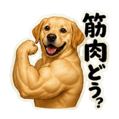 nukonameko_20260617083026