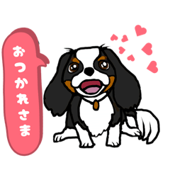 OYO_20260617095650