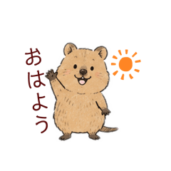 The Rare Series Happy Quokka