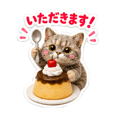 British Cat Sweet Treats Time.