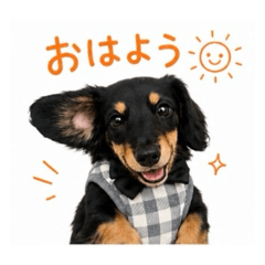 hirohiro_20260617125338