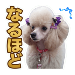 Elliemylove_20260617125108