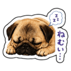 YU_20260617125342