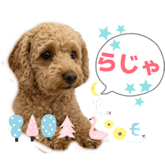 Cute Dog's Daily Conversation