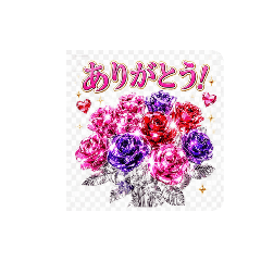 Clover_20260617135608