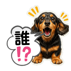 nukonameko_20260617141625