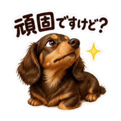 nukonameko_20260617142357