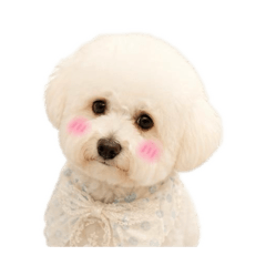 ochan_20260617151949