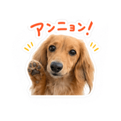 ikko_20260617232732