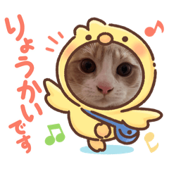kaho_20260618002250