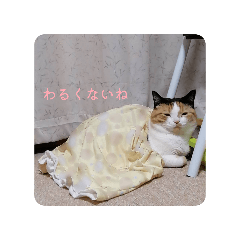 yamayama_20260618004223