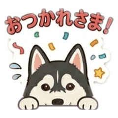 ayu_20260618002755