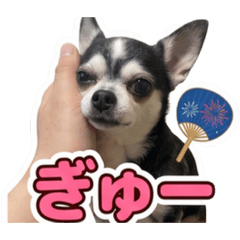 momo_20260618013506