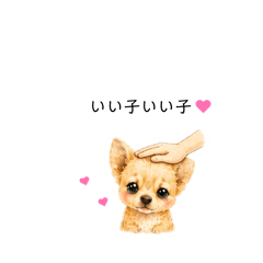 mell_20260618011716