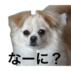 kuni-kuni_20260618031520