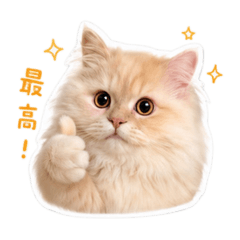 nyan_20260618041459