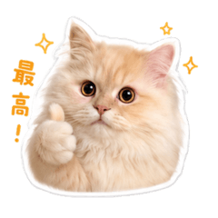 nyan_20260618035200