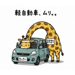 ROOT8008_20260618071235