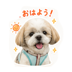Rin_20260618074817