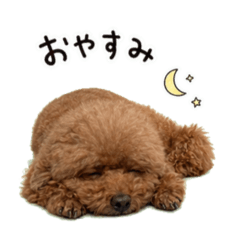 SHIHO_20260618080310