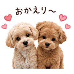 mchan_20260618075257
